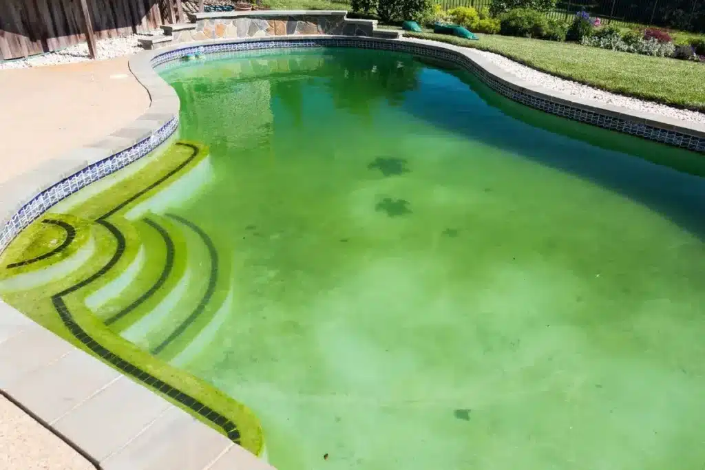 Pool Discolouration | Adelaide South Australia | PoolRevive