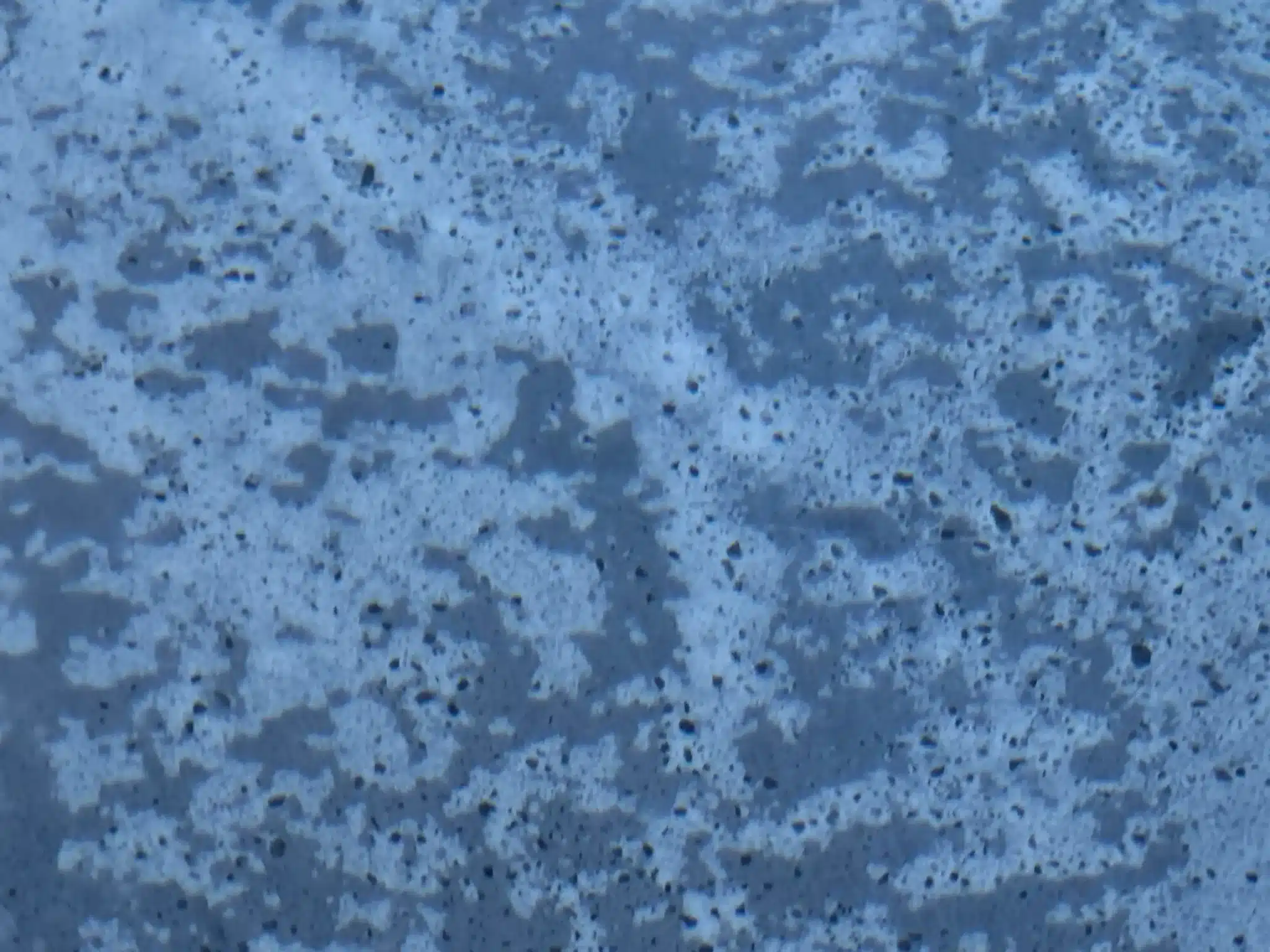 Pool Plaster Etching | Adelaide South Australia | PoolRevive