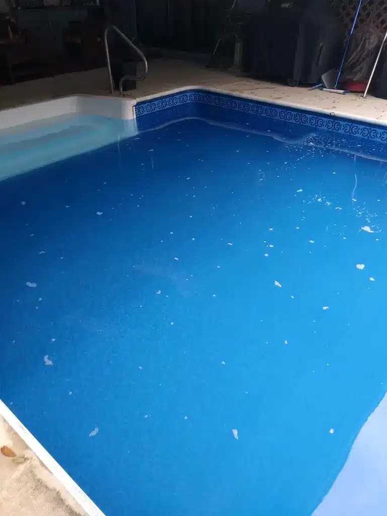 Pool Surface Bubbling | Adelaide South Australia | PoolRevive