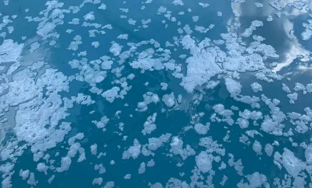 Pool Surface Bubbling | Adelaide South Australia | PoolRevive