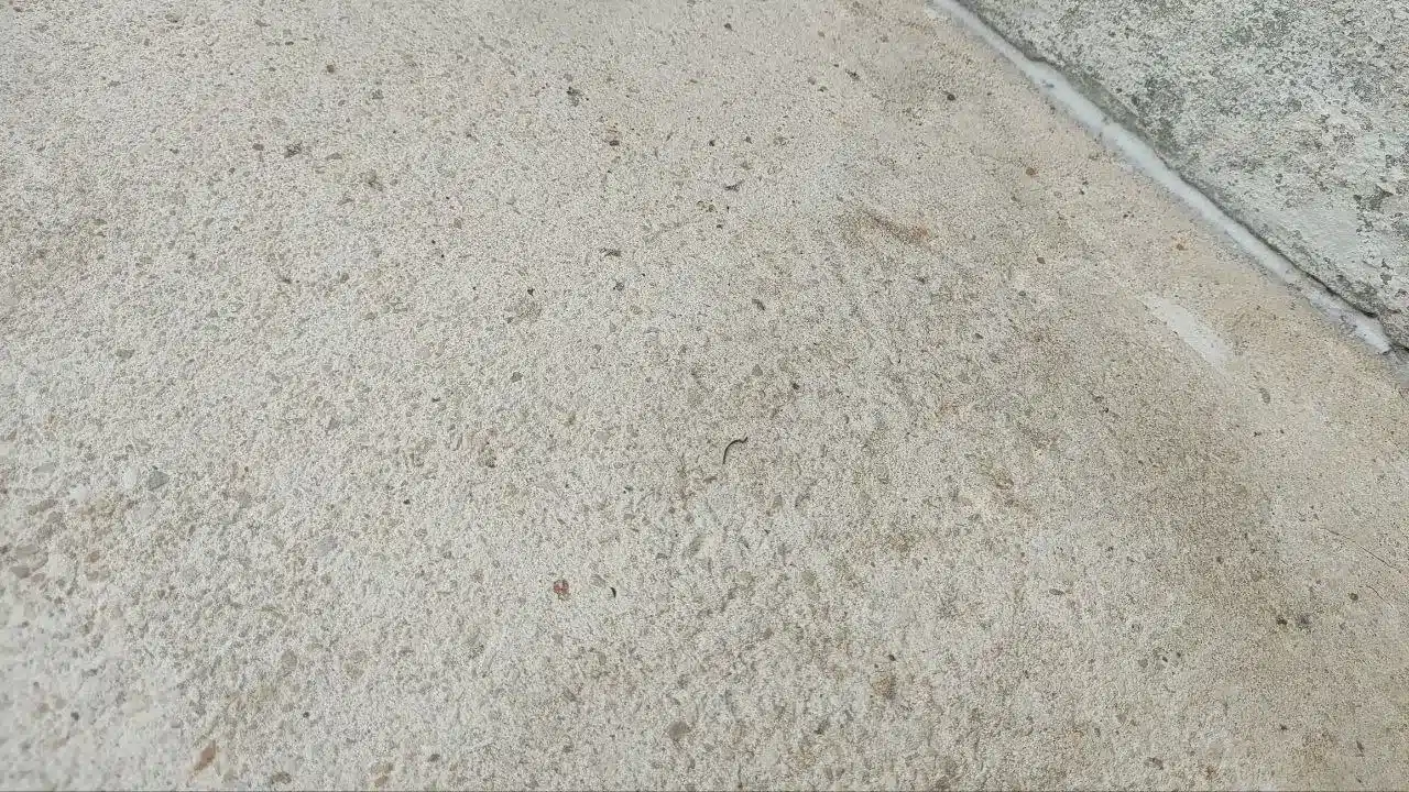 Rough Pool Surface | Adelaide South Australia | PoolRevive