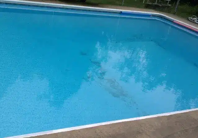 Black Spot In Pool | Adelaide South Australia | PoolRevive