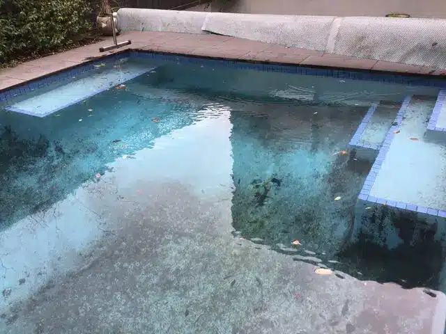 Black Spot In Pool | Adelaide South Australia | PoolRevive